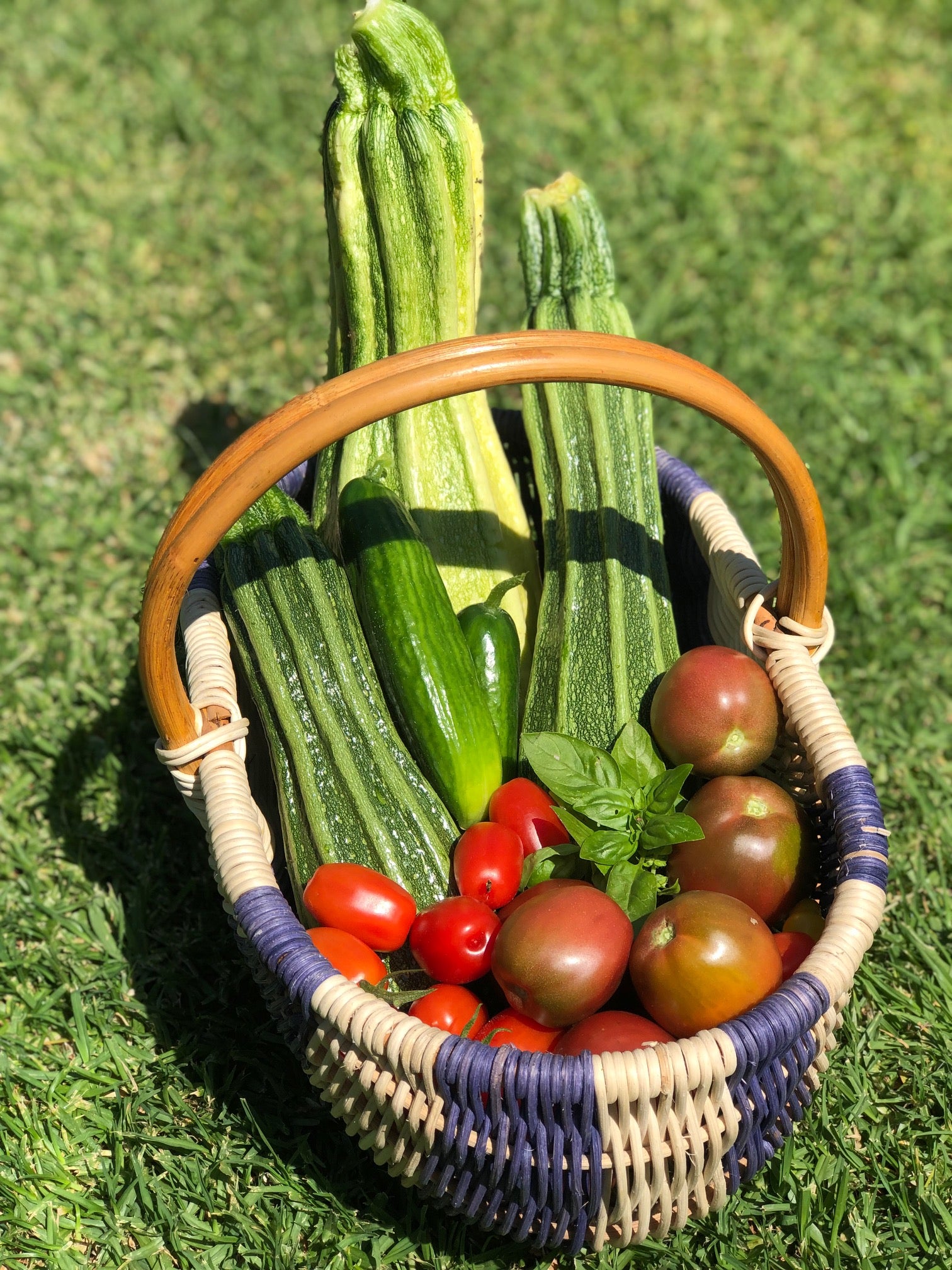 Creating a vegetable garden from home while renting