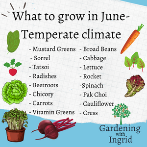 What to grow in June -  Temperate Climate