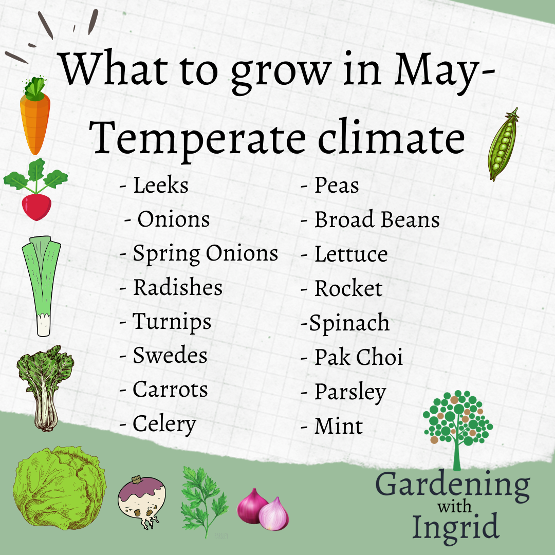 What to grow in May- Temperate Climate